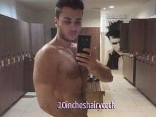 10incheshairycock