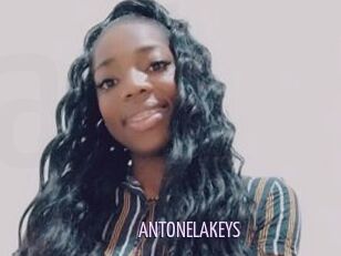 ANTONELAKEYS