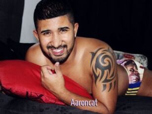 Aaroncat