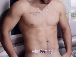 AdamBurning