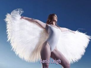 Aerial_Leigh