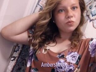 AmbersNeed