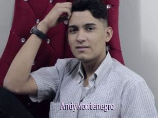 AndyMontenegro