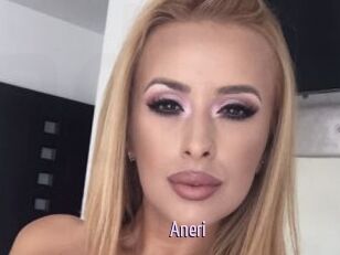 Aneri