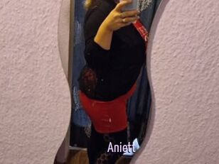Aniett