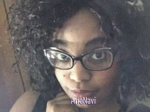 AriaNavi