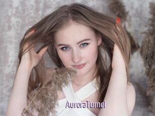 AuroraTurnel