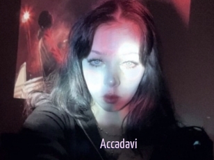 Accadavi