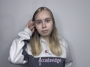 Accadavidge