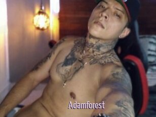 Adamforest