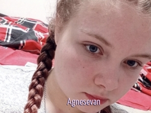 Agnesevan