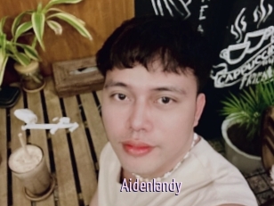 Aidenlandy
