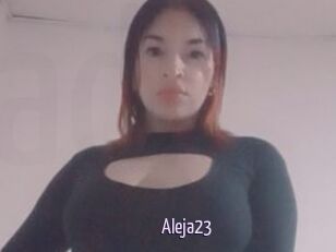 Aleja23