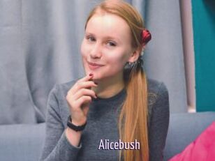 Alicebush