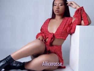Allicerosse