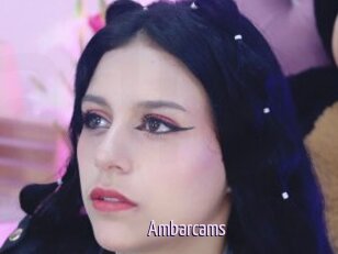 Ambarcams