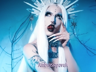 Ambrosiapavuk