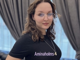 Aminaholms