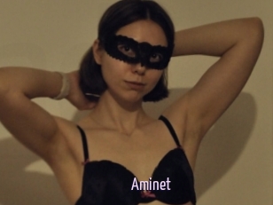 Aminet