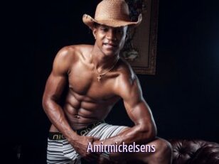 Amirmickelsens