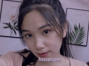 Amisanajem