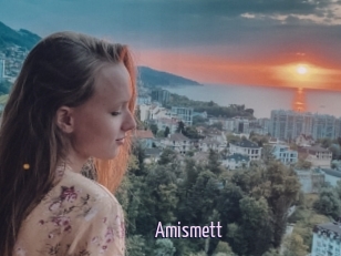 Amismett