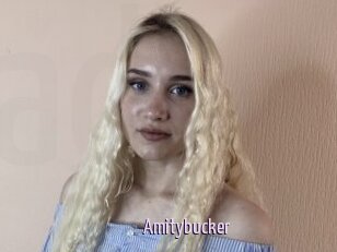 Amitybucker