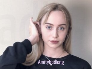 Amitybudlong