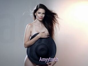 Amyytorch