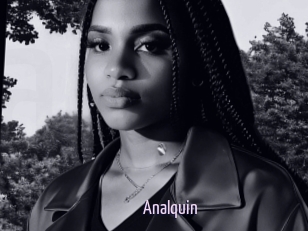 Analquin