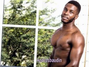 Andresbaudin