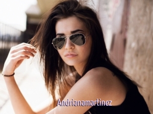 Andrianamartinez