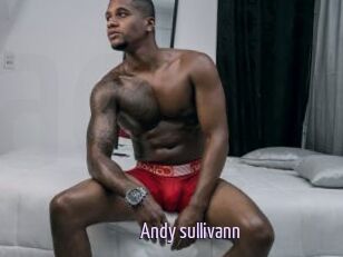 Andy_sullivann