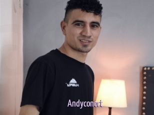 Andyconort