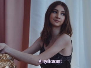 Angelicacant