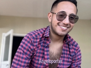 Angeloporter