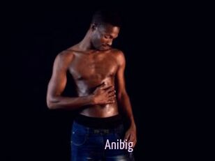 Anibig