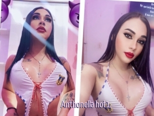 Anthonella_hot1