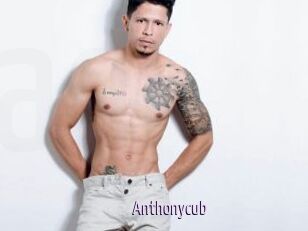 Anthonycub