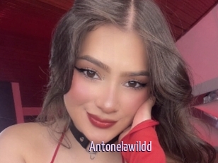 Antonelawildd