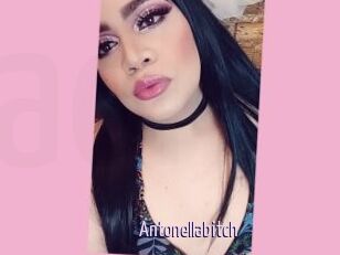 Antonellabitch