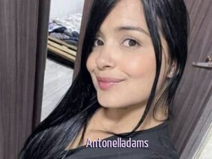 Antonelladams