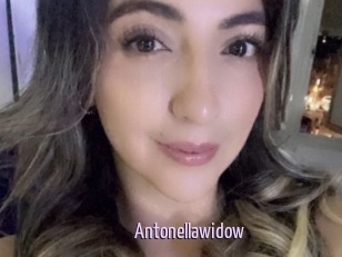 Antonellawidow