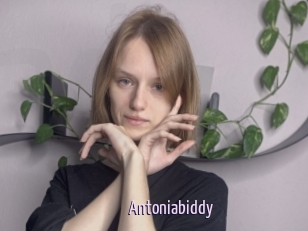 Antoniabiddy