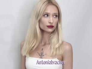 Antoniabracher