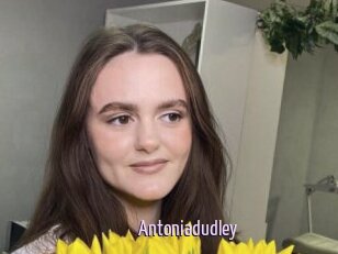 Antoniadudley