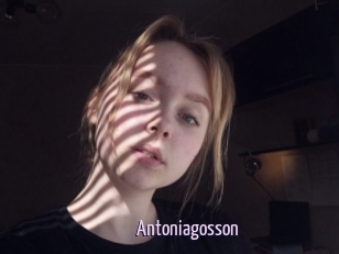 Antoniagosson