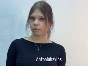 Antoniahavins