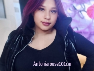 Antoniarouse101cm
