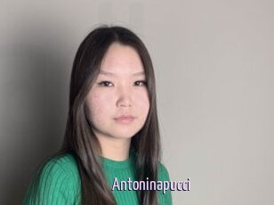 Antoninapucci
